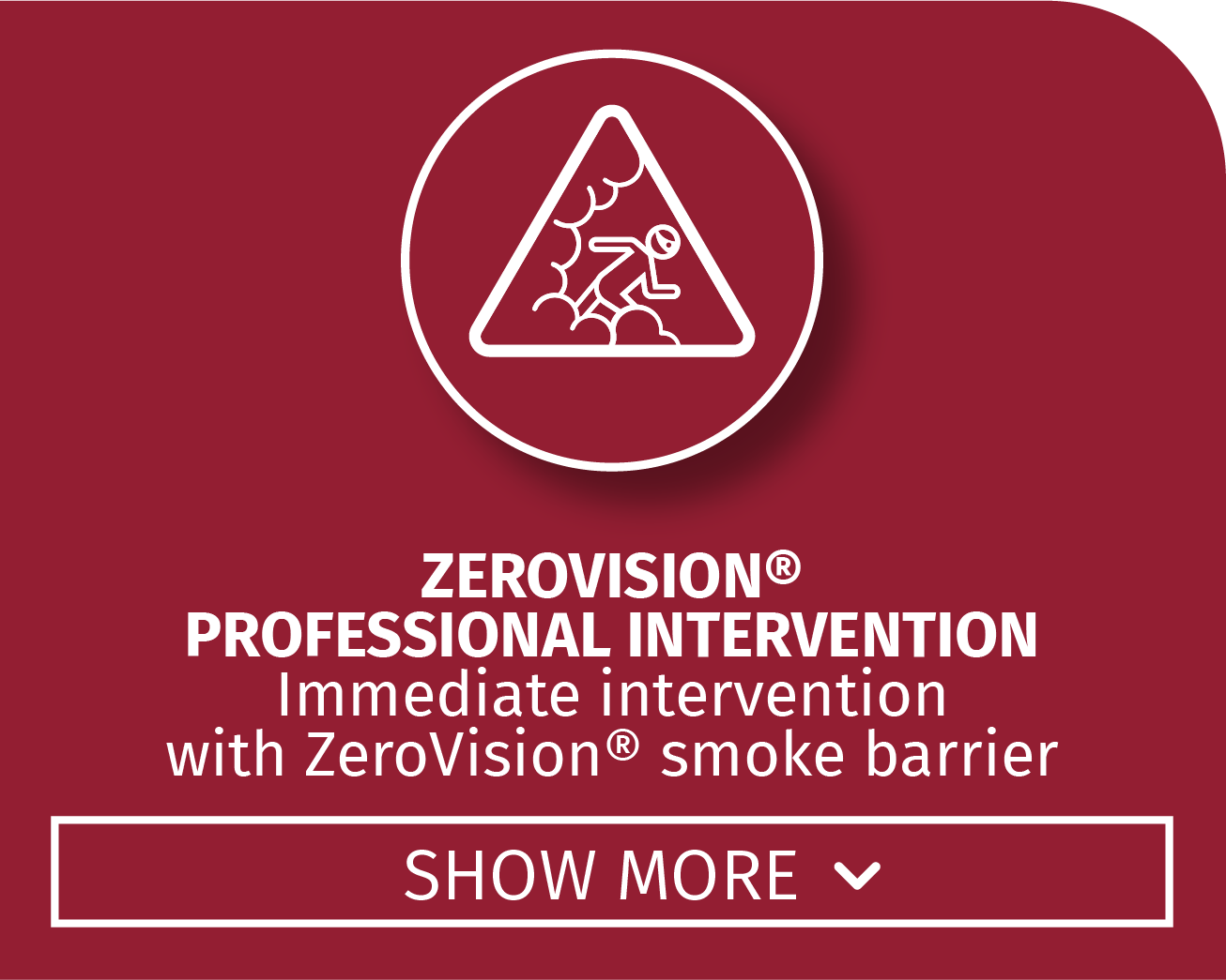 ZEROVISION